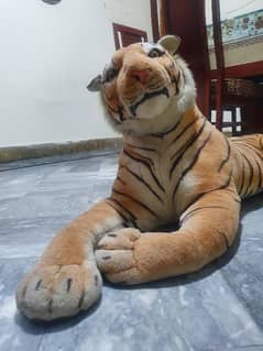 tiger