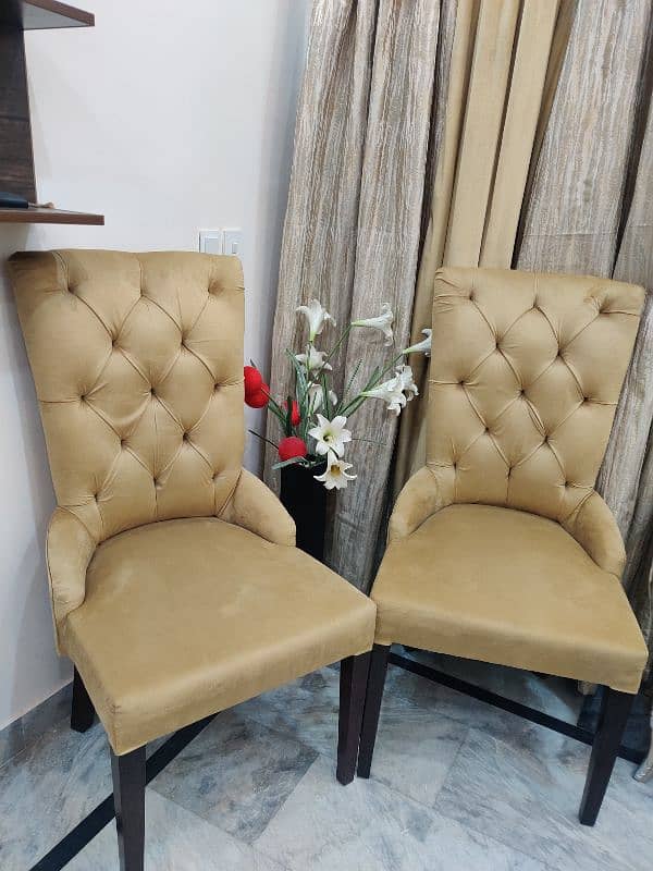 Room dining chairs 10 by 10 having a good quality foam 1