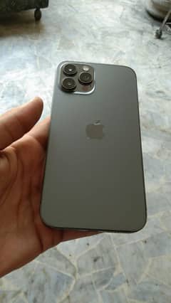 Iphone 12 pro max