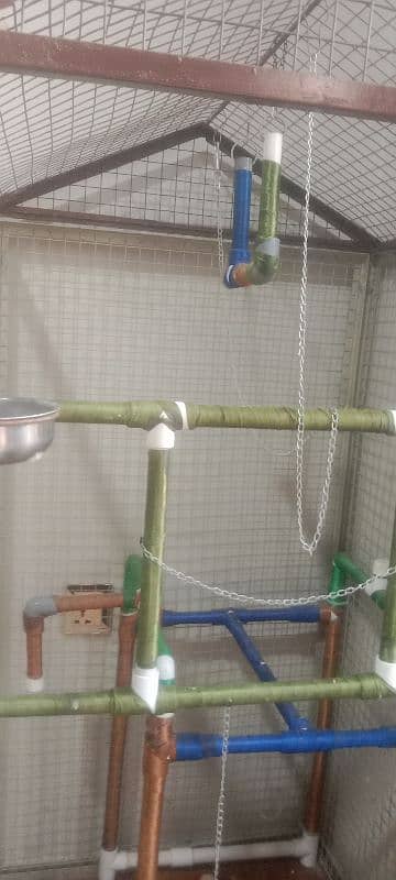 Parrot Cage 0