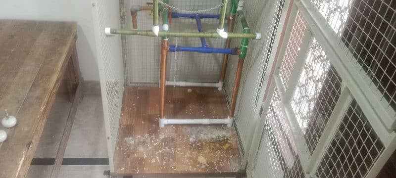 Parrot Cage 2