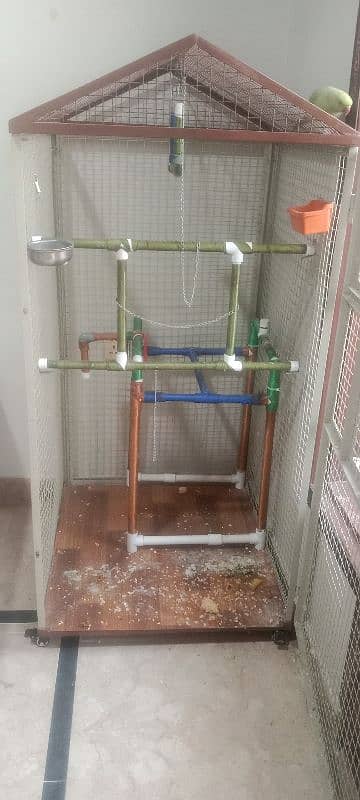 Parrot Cage 4