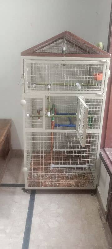 Parrot Cage 7