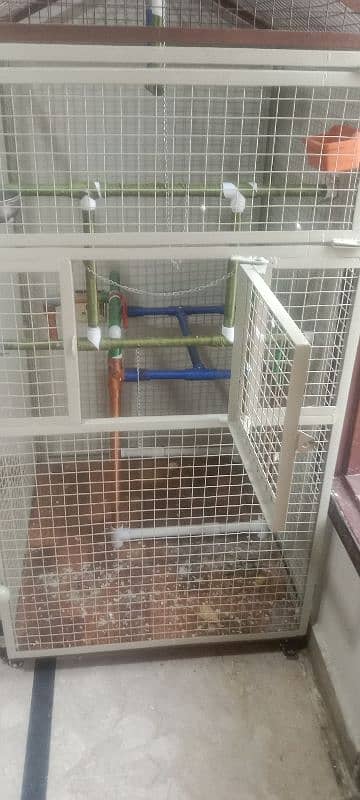 Parrot Cage 8