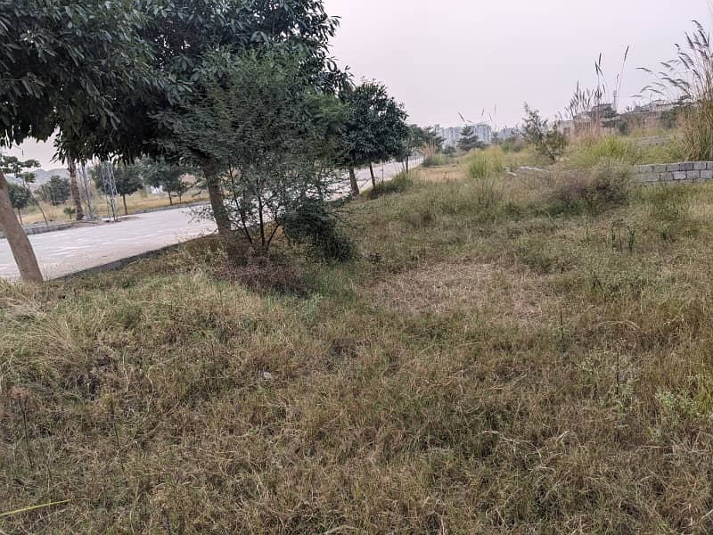 Residential Plot for Sale zamar Valley 1