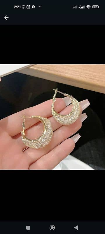 Fancy hoops Earrings 0