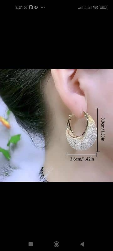 Fancy hoops Earrings 1