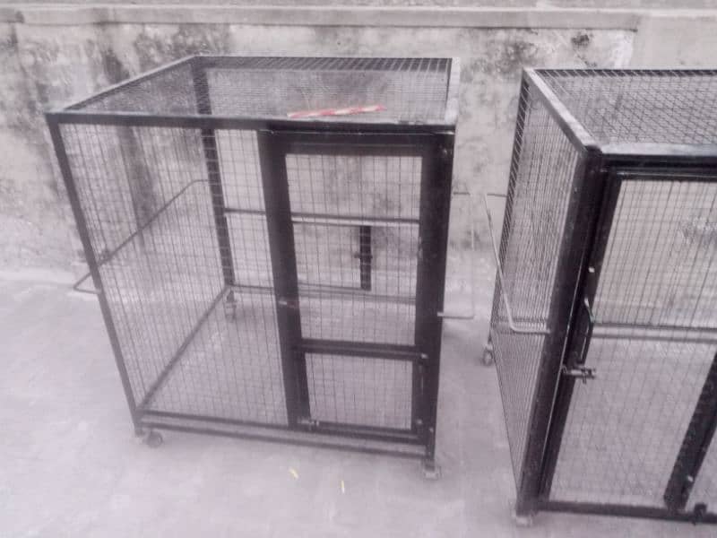 Hen cage / cage / iron cage / bird cage / 0