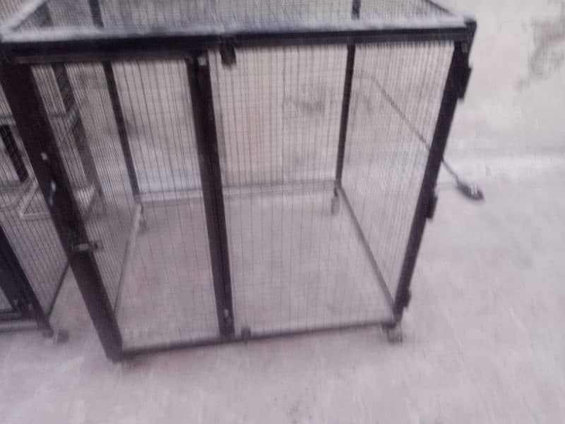 Hen cage / cage / iron cage / bird cage / 1