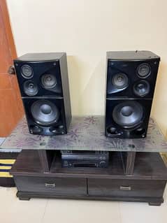 pioneer Sound system with trolly