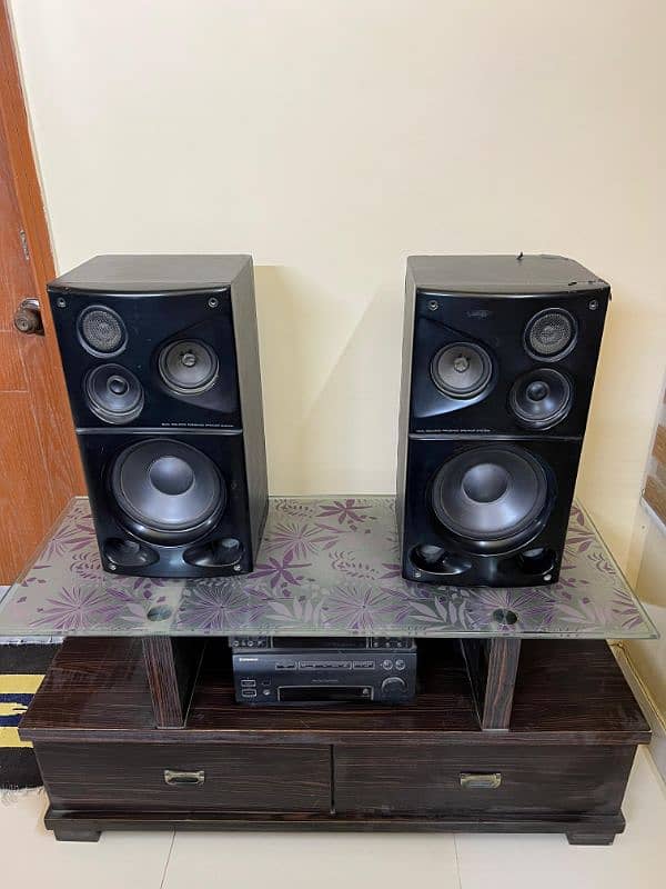 pioneer Sound system with trolly 1