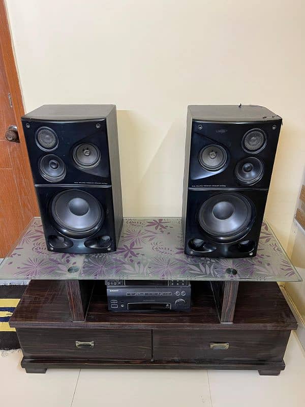 pioneer Sound system with trolly 2