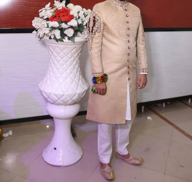 sherwani 2