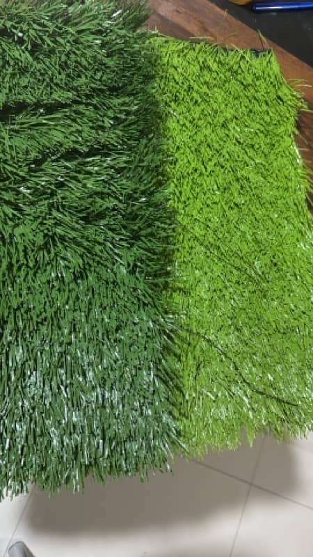 we have best quality grass 1