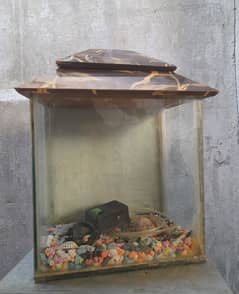 Fish Aquarium