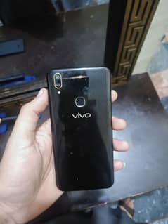 vivo