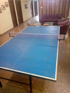 Best Indoor Game | Table Tennis