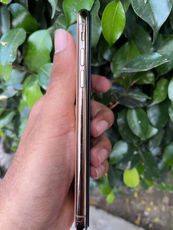 iPhone XS golden pta approved 1