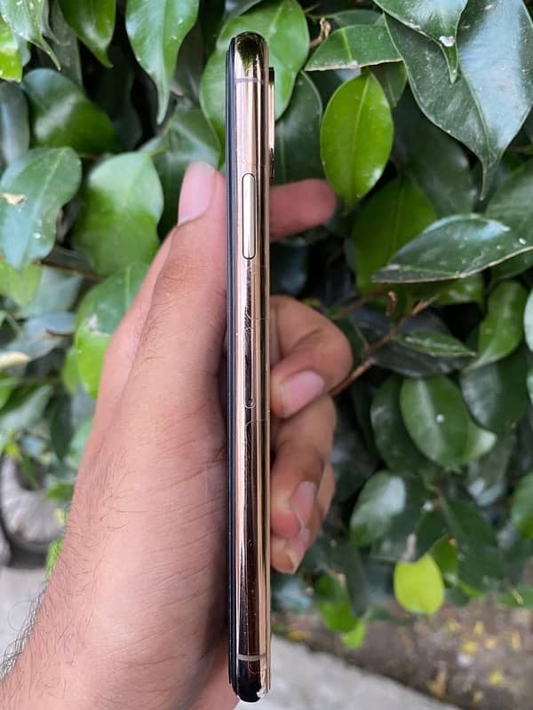 iPhone XS golden pta approved 2