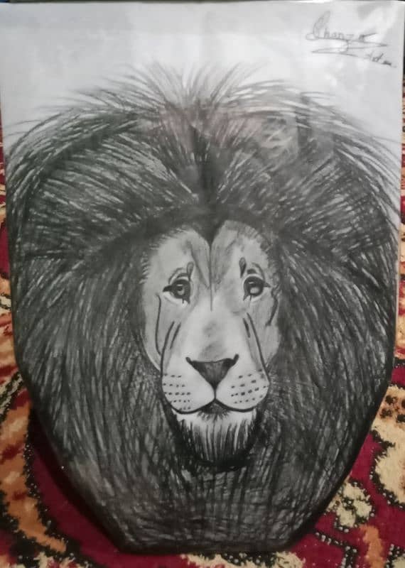 sketch of lion .   LION SKETCH 1