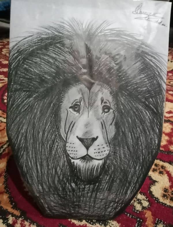 sketch of lion .   LION SKETCH 2