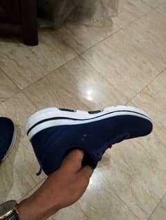 Navy Blue with white sool primmim shoe