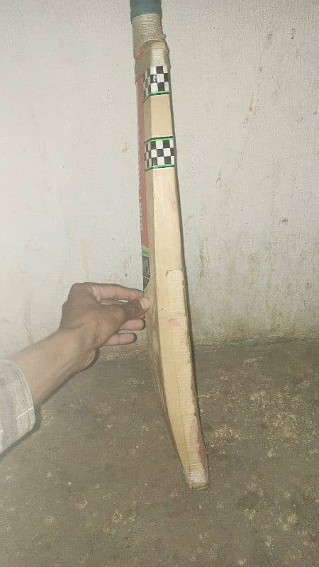 hard ball bat 1