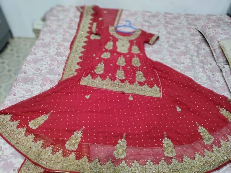 New Bridal Red Sharara 2