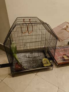 used bird cage