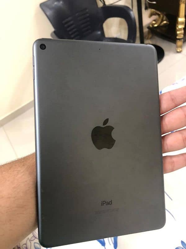 ipad mini 5 0