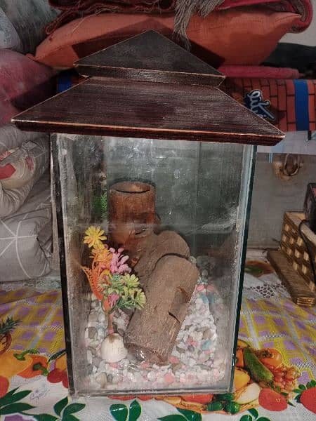 fish aquarium small both for sale 1