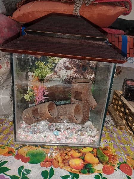 fish aquarium small both for sale 2