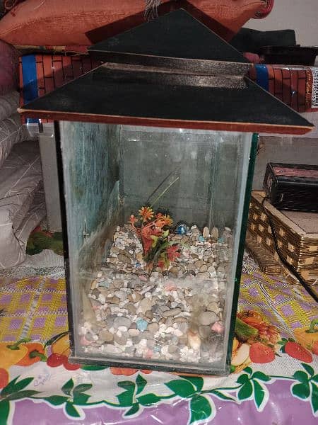 fish aquarium small both for sale 3