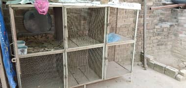 Aseel Hen's Cage 6 Compartment