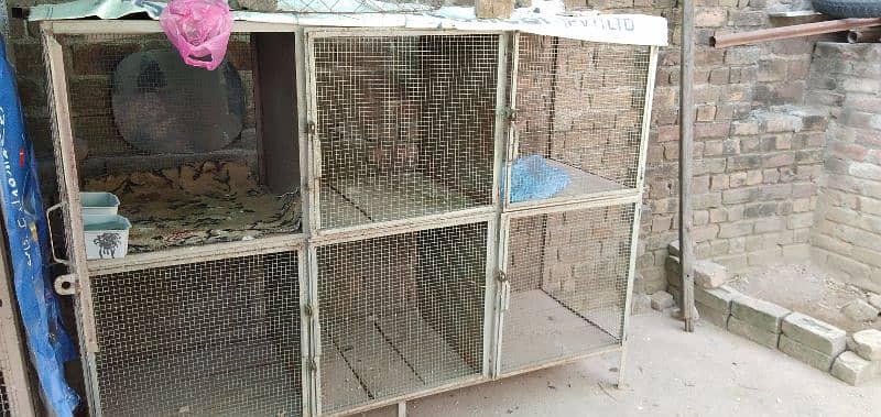 Aseel Hen's Cage 6 Compartment 0