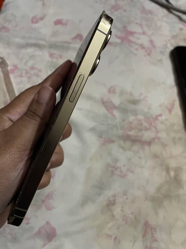 iphone 13 pro 256 golden color non pta 91 battery health 4