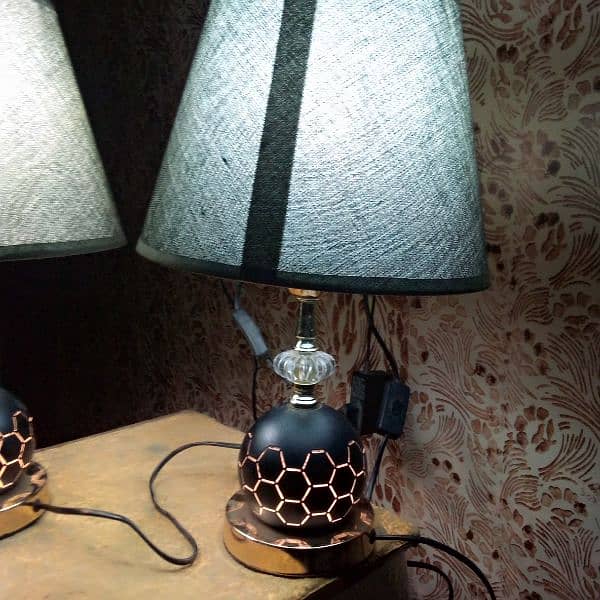 double light lamp 0