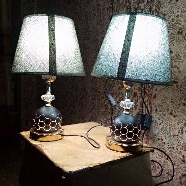 double light lamp 2