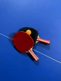 Full Size Table Tennis With 2 Rackets and 4 Balls Used like New