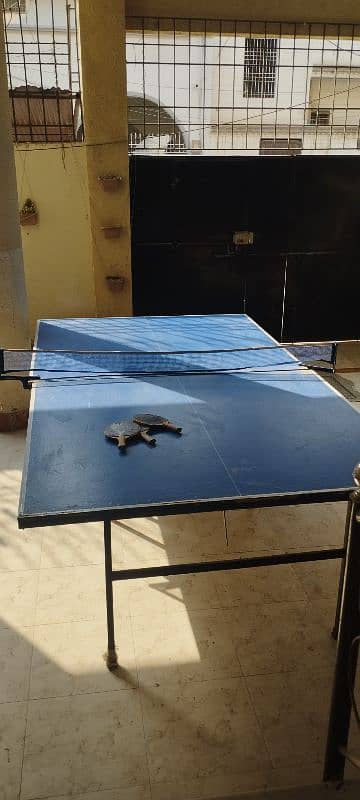 TABLE TENNIS WITH NET AND RACKETS 2