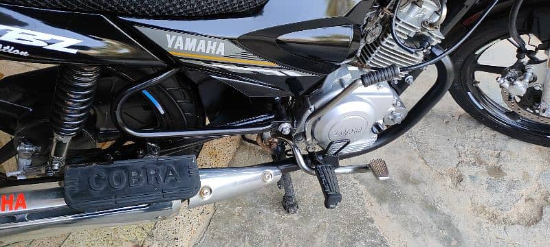 Yamaha yb125Z DX 2022 12