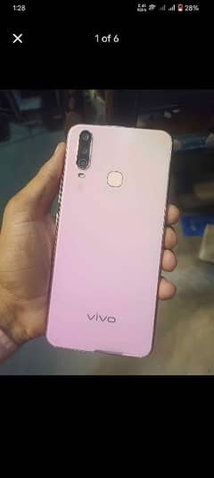 Vivo