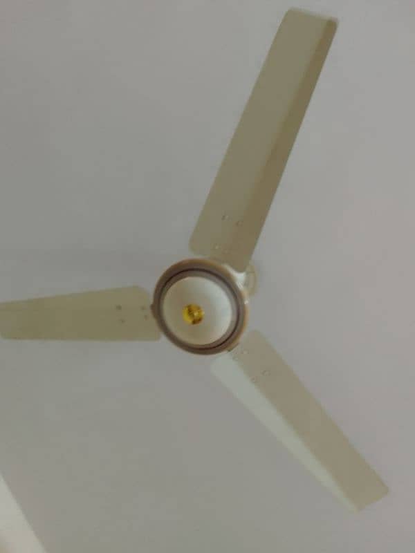 fan for sell 1