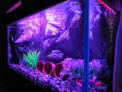 New 3D Running Aquarium For Sale.