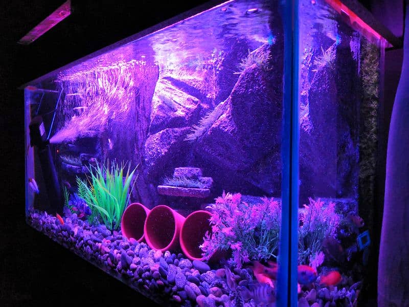 New 3D Running Aquarium For Sale. 0