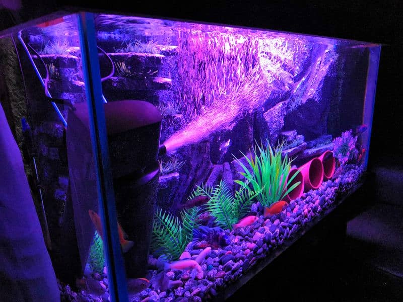 New 3D Running Aquarium For Sale. 4