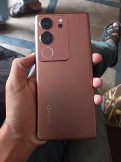 Vivo v29 5G Non PTA