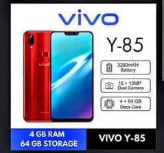 vivo