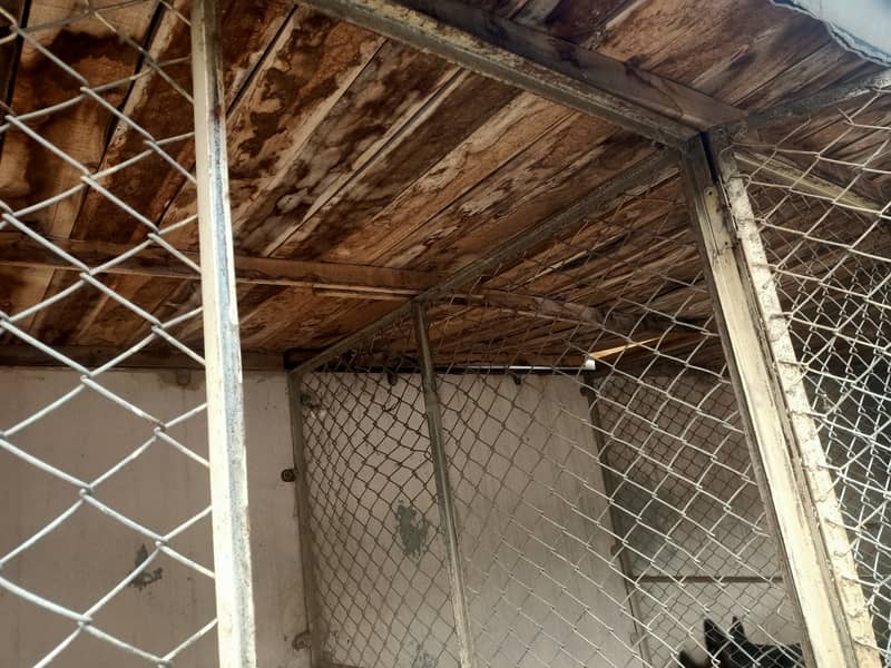 Dogs cages for sale in lahore pakistan 1