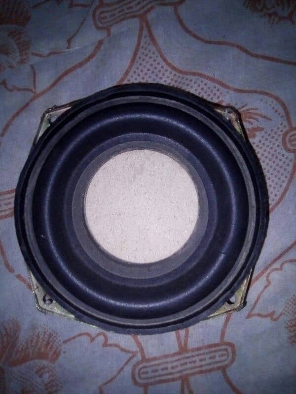 5 Inch Subwoofer 1